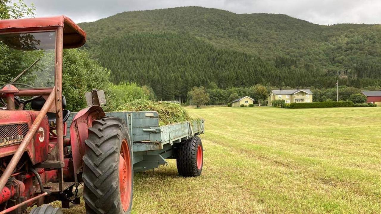 Rodseth Gardsovernatting Hytter Molde Exterior foto